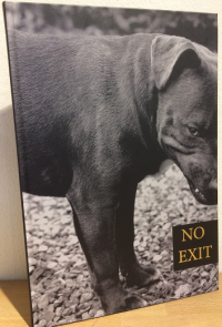 NO EXIT