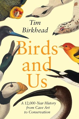 BIRDS AND US