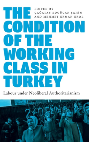 CONDITION OF THE WORKING CLASS IN TURKEY