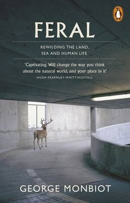 FERAL-REWILDING LAND, SEA & HUMAN LIFE