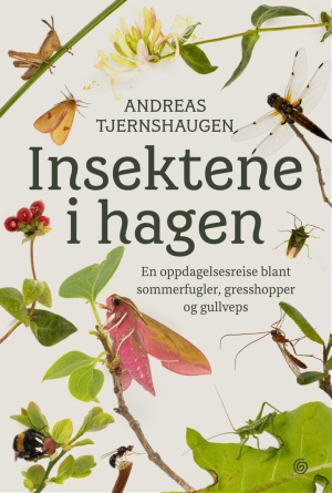 INSEKTENE I HAGEN-EN OPPDAGELSESREISE BL