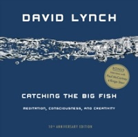 CATCHING THE BIG FISH-MEDITATION, CONSCI