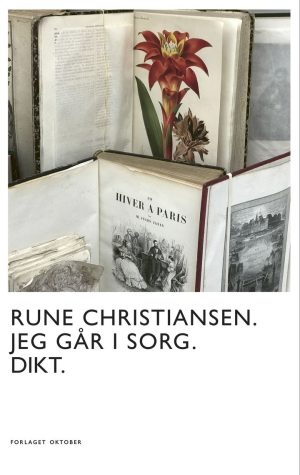 JEG GÅR I SORG. DIKT.