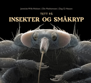 TETT PÅ INSEKTER OG SMÅKRYP