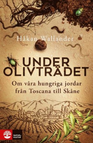 UNDER OLIVENTRÄDET