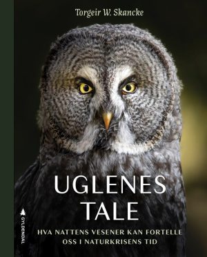 UGLENES TALE