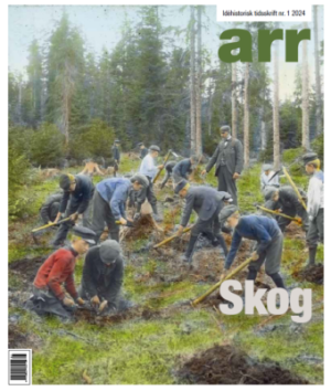 ARR 2024 #1-SKOG