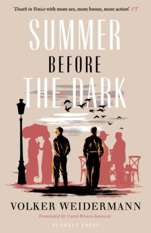 SUMMER BEFORE THE DARK