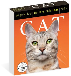 2025: CAT PAGE-A-DAY