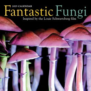 2025: FANTASTIC FUNGI