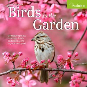 2025: BIRDS IN THE GARDEN