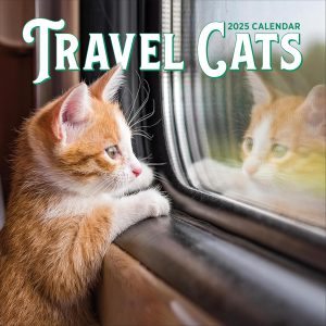 2025: TRAVEL CATS