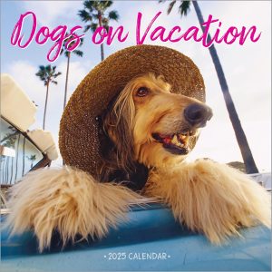 2025: DOGS ON VACATION