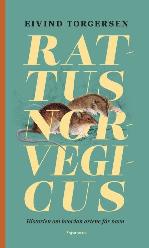 RATTUS NORVEGICUS