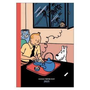 TINTIN AGENDA 2025 LITEN