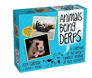 2025 Animals Being Derps Day-to-Day Calendar