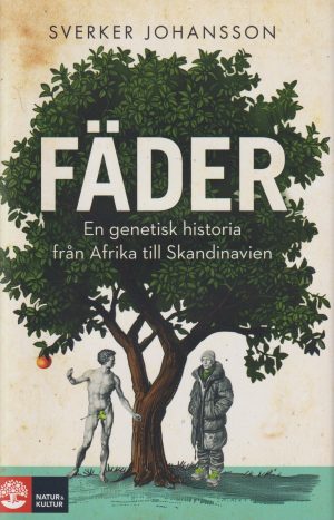 Fäder